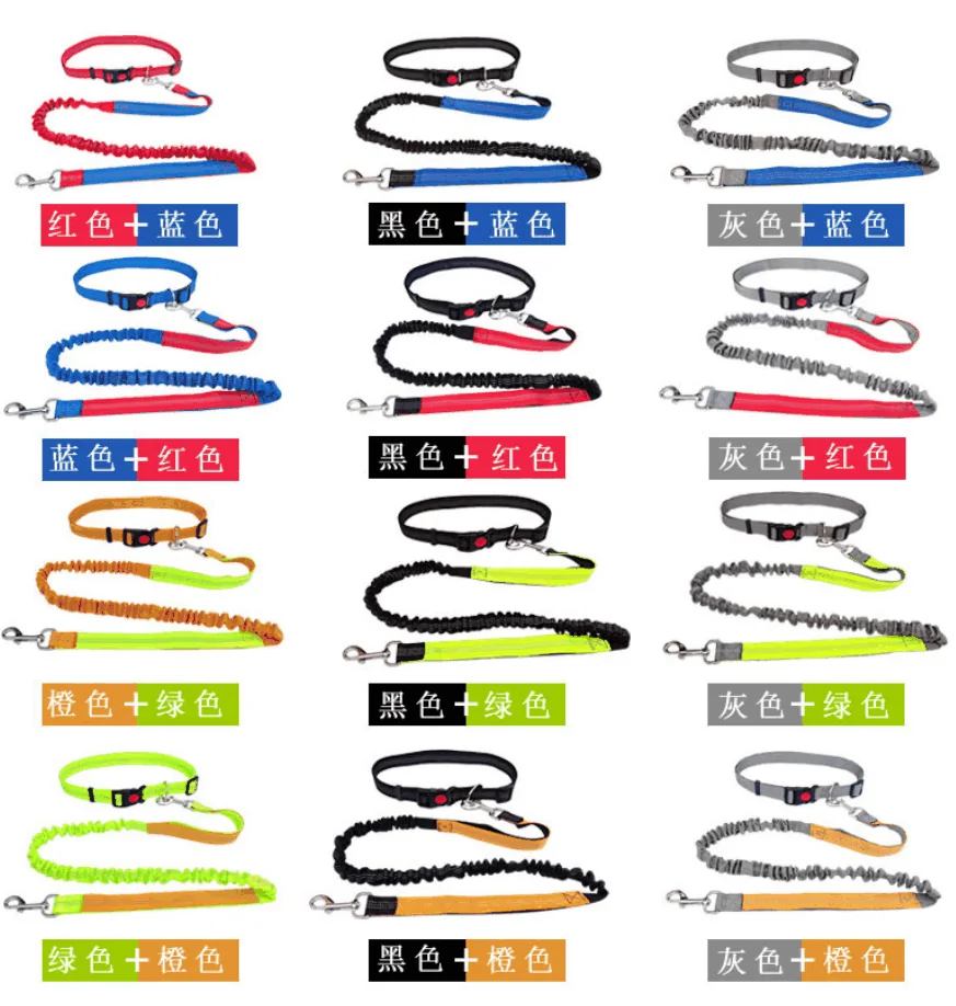 Multi-Function Dog Leash wholesale OEM pet product