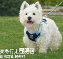 Colorblock Dog Harness with Leash wholesale pet apparel SKU 05A7137