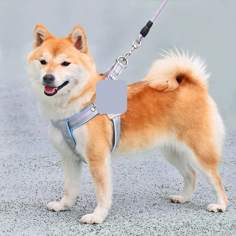 Dog harness