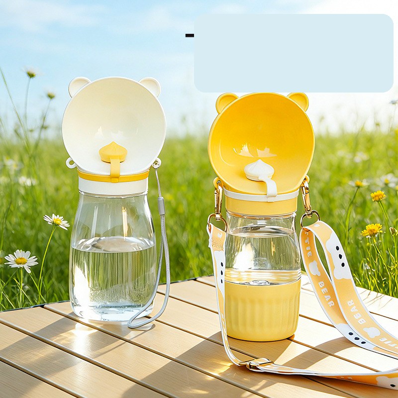 Travel water bottle